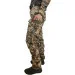 Pancer Protection Ƴ   -14 42