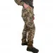 Pancer Protection    -14 44
