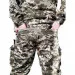   Pancer Protection      -14 46
