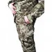   Pancer Protection      -14 46