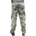 Pancer Protection    14 +  48
