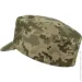 Pancer Protection        -14 55 (13219)