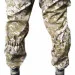Pancer Protection   -14   60