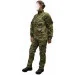 Pancer Protection Ƴ     38