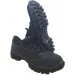   Pancer Protection      (40)