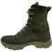 Pancer Protection     40