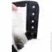  Pancer Protection     (43)