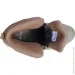 Pancer Protection   44