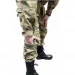  Pancer Protection    46