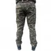 Pancer Protection    50
