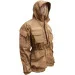 Pancer Protection     50