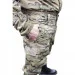 Pancer Protection     54