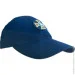  Pancer Protection     56