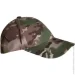  Pancer Protection   .60 (12360)