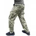  Pancer Protection  . 60