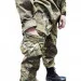  Pancer Protection    60