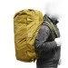  Pancer Protection    60  