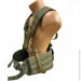 Pancer Protection -  