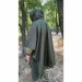 Pancer Protection   