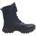  Pancer Protection  Evolution    (37)
