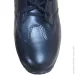  Pancer Protection  Evolution    (38)