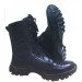 Pancer Protection  Evolution   (40)
