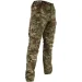  Pancer Protection    Pancer  .56 (12100)