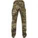  Pancer Protection    Pancer  .56 (12100)
