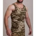 Pancer Protection   ϳ  Pancer 60