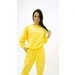   Pangaia    2170 Yellow XL(42)