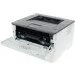  Pantum P3010D