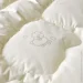 Papaella   100135,   70%, , ,  (8-11679)