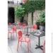 Papatya  Fame-S - (4826)