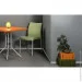 Papatya  Marvel-S  (3243)