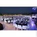 Papatya  Yummy  (2293)