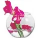  Pasabahce Flora 10 (43417)