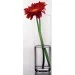  Pasabahce Flora 26 (43767)