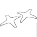 - (  ) Pedrini     0160-8 (2 .)