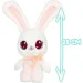   Peekapets   (906785)