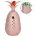Peom     "Pineapple"    500 , 