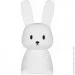 Peom     Silicone Bunny,  1200 , 20 