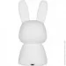 Peom     Silicone Bunny,  1200 , 20 