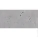 Peronda  Sublime Thunder 60120  (NT)