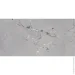Peronda  Sublime Thunder 60120  (NT)