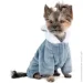 Pet Fashion  ALFTM  ,  XS-2  (4823082442553)