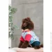 Pet Fashion   Alisa M   (4823082437559)