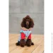 Pet Fashion   Alisa M   (4823082437559)