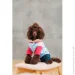 Pet Fashion   Alisa M   (4823082437559)