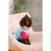 Pet Fashion   Alisa M   (4823082437559)