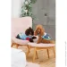Pet Fashion   Alisa M   (4823082437559)